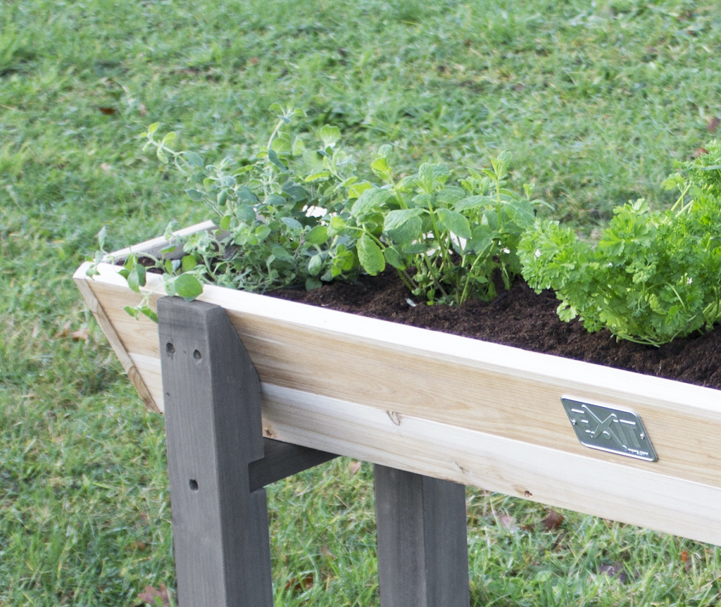 EXIT Aksent Trap Ezium Grow Table M