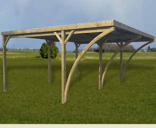 Carport Carpi XL | 600x550 cm
