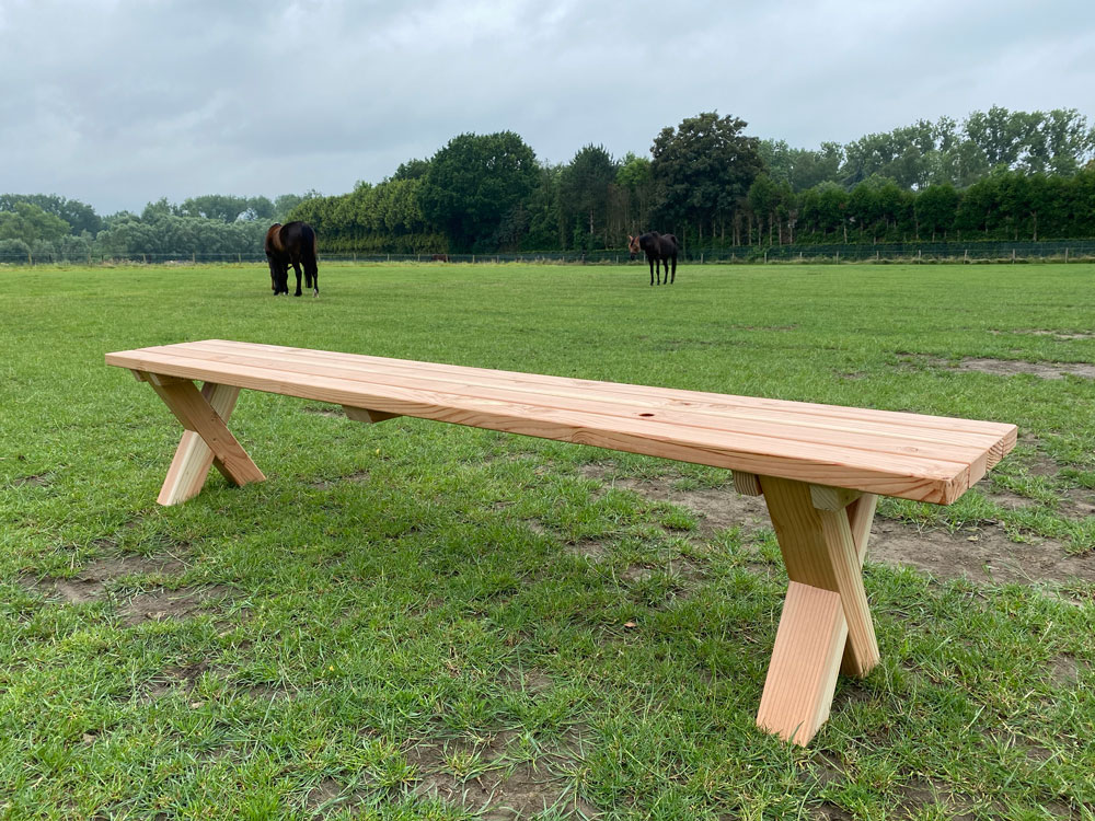 <BIG><B>Banc Xavi Junior en Douglas 250 cm</B></BIG>