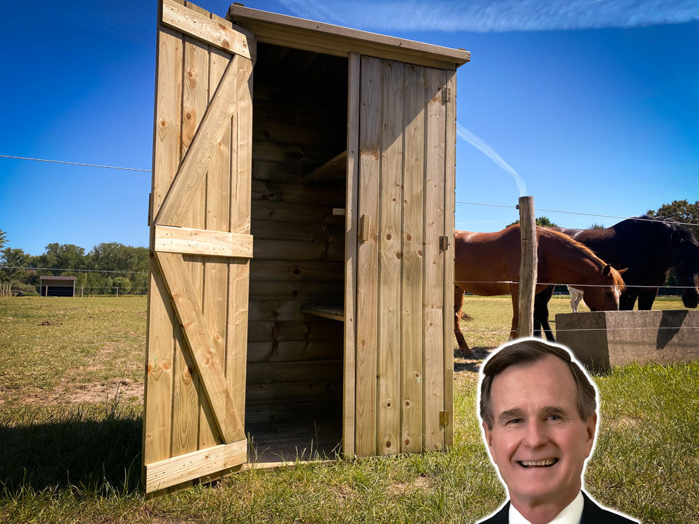 <BIG><B>Armoire de jardin Bush (99 x 72 x 182 cm)</B></BIG>